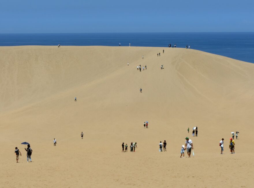 鳥取砂丘は天然記念物