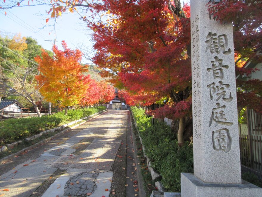 晩秋の観音院庭園①