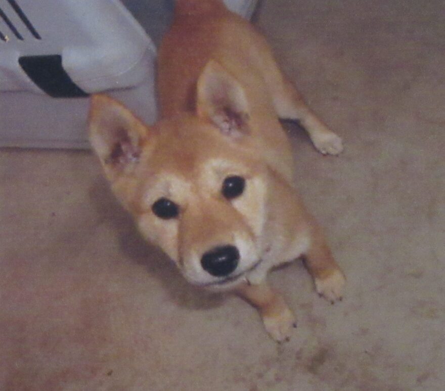 梨梨ちゃんありがとう！