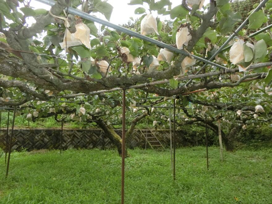 何もない、ことはない！