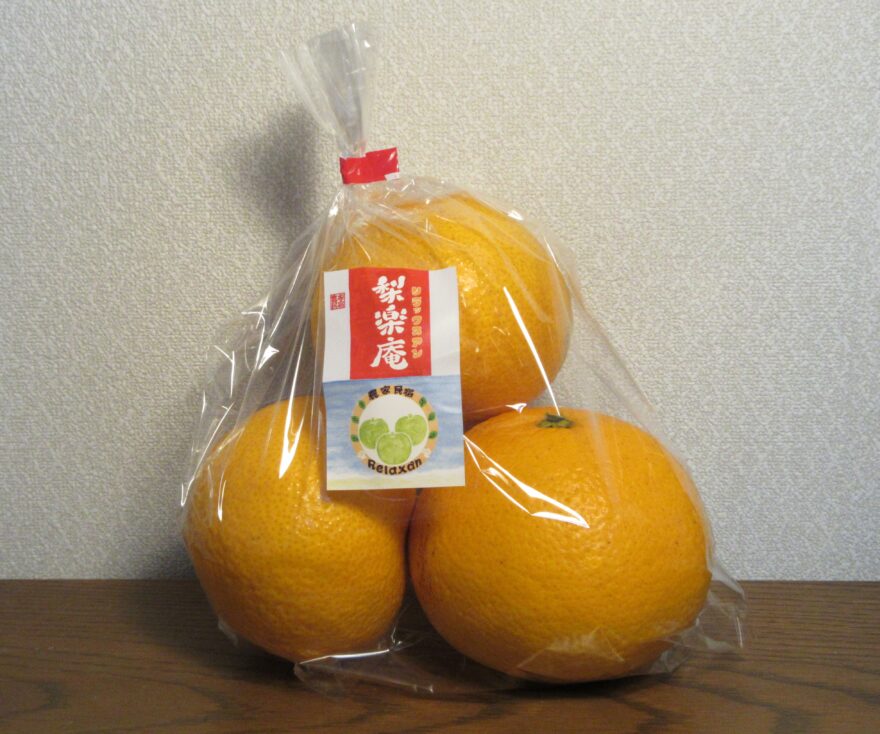 はっさくの販売を始めました