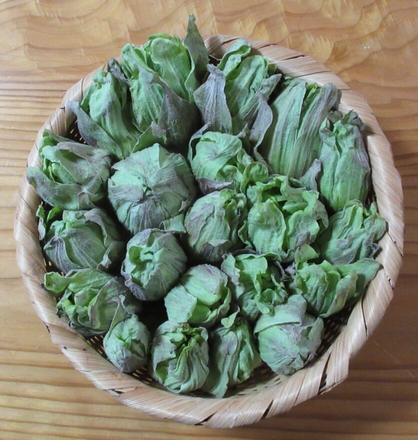 ホルモン焼きそば②