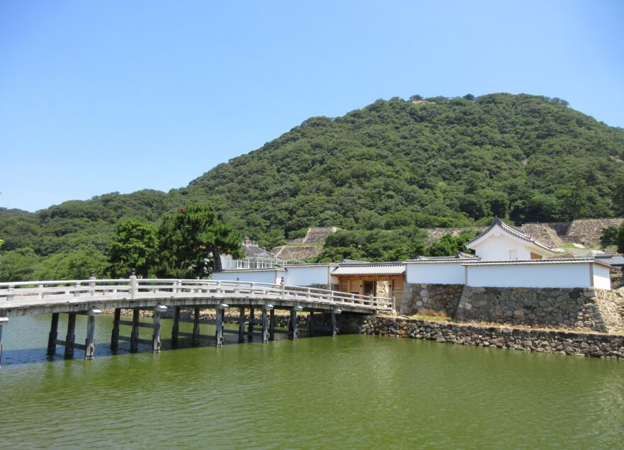 ジャガイモの種芋植えをしたよ！