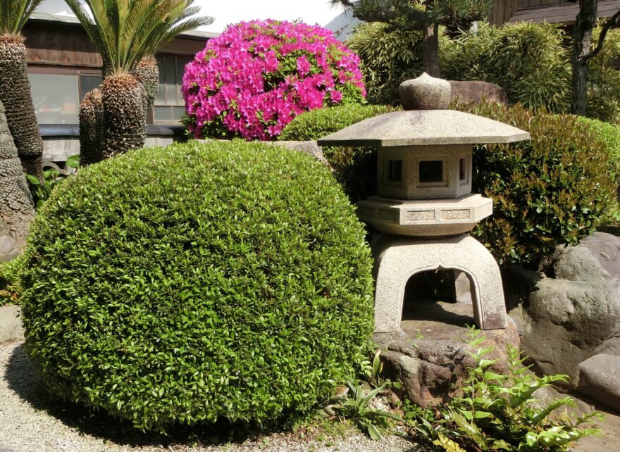鳥取の名物バスガイド