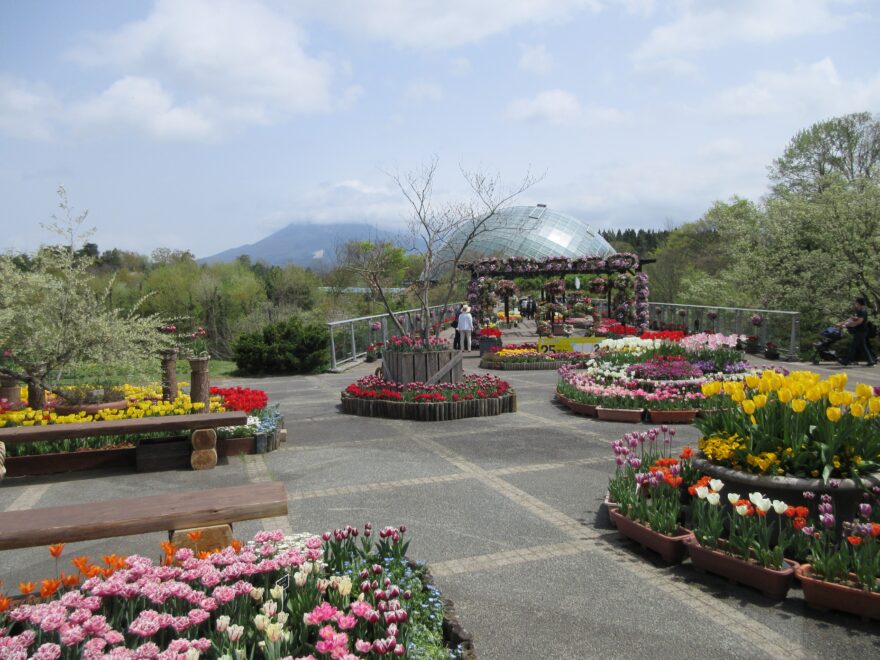 とっとり花回廊