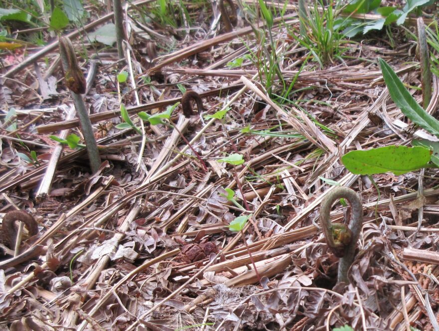 それぞれの初心