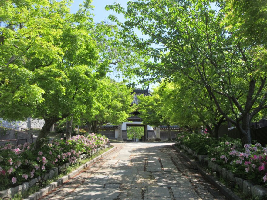 観音院の初夏②