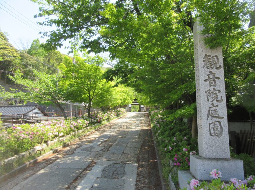 観音院の初夏①