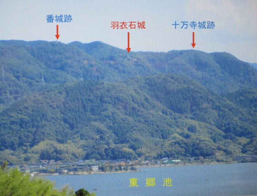 羽衣石城が国の史跡に指定①