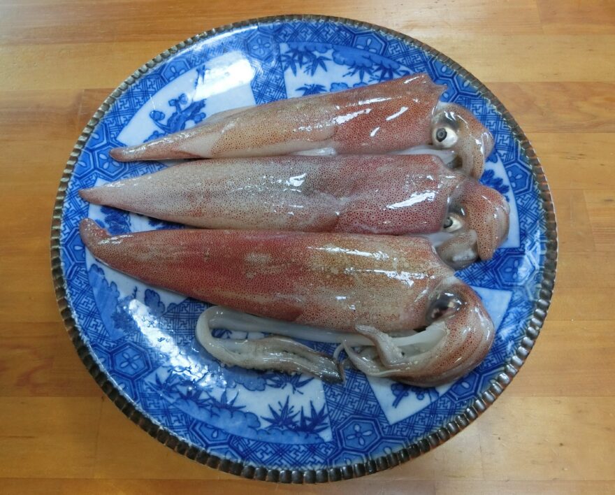 山陰海岸ジオパーク①