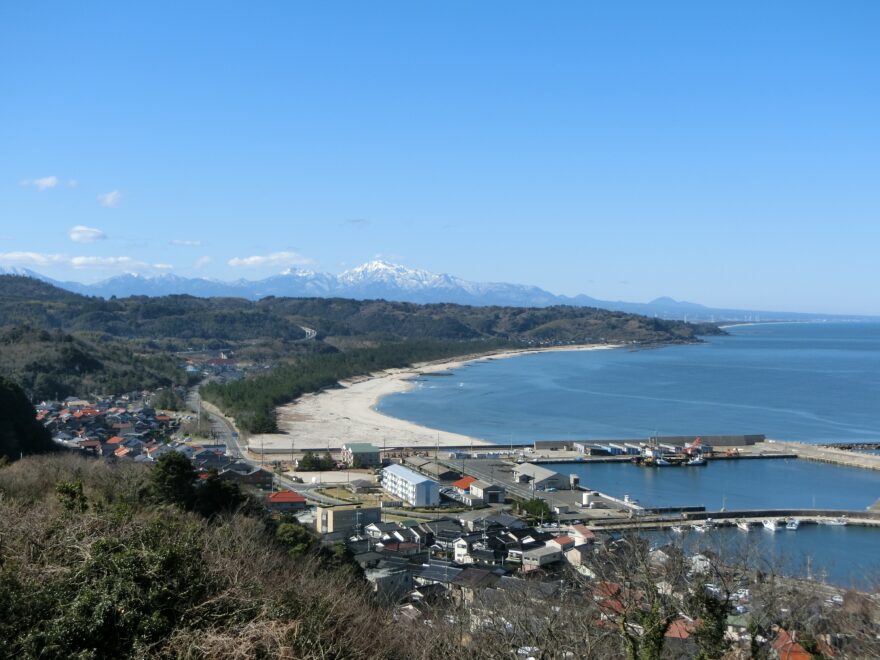 浜の価値